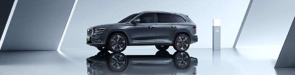Chongqing Masting International Trade Co., Ltd